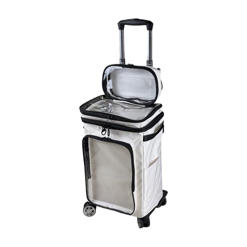 Travel Packing Cube - Harajuku Tarzı Karikatür Desenli Şeffaf Bavul